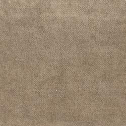 C1 TOUAREG 06 BRANDY