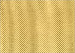 C4 CARTAGINESIS1 AMARILLO