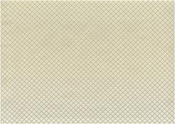 C4 CARTAGINESIS2 BLANCO