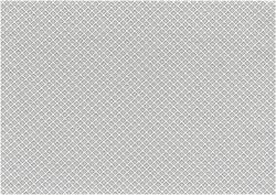 C4 CARTAGINESIS3 NIEVE