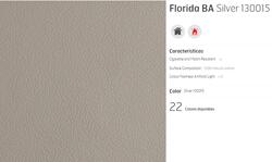 C6 LEATHER FLORIDA SILVER