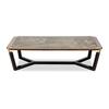 RECTANGULAR COCKTAIL TABLE (Marble top)_image