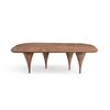 TABLE (Fixed organic-shaped top)_image